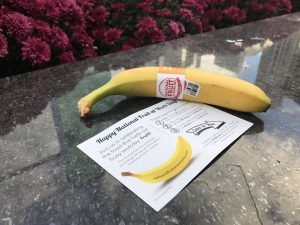 banan and flyer